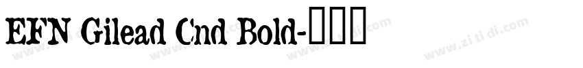 EFN Gilead Cnd Bold字体转换